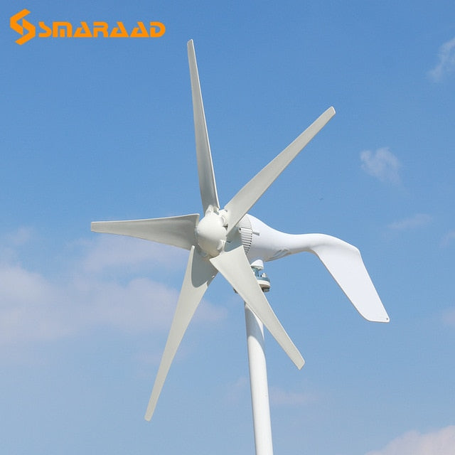 China Factory 1000W 24V Wind Turbine with 8 Blades MPPT Controller Small Wind Turbine for Home Use Low Noise High Efficiency